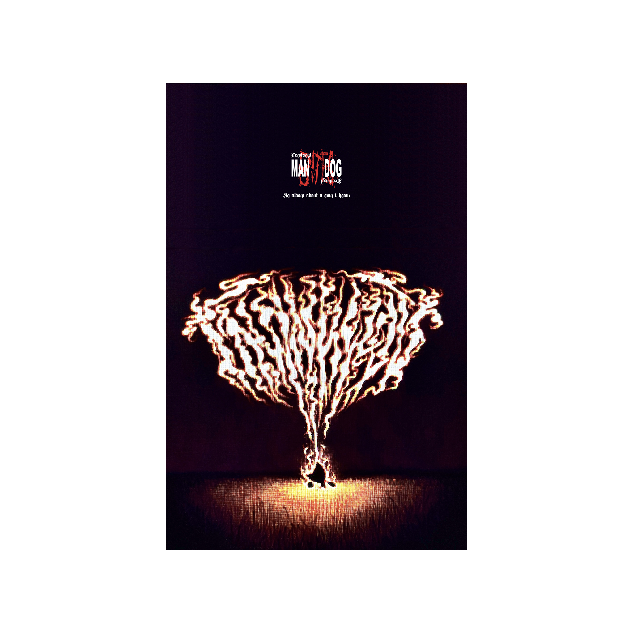 26531e7341000941c213c94b356c0e43